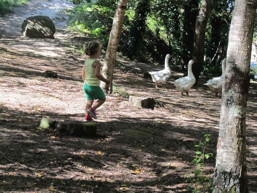 grandes vacaciones en Galicia con niños